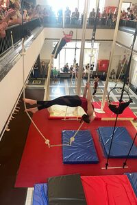 Pasen 26 week1 - Luchtacrobatie, namiddag (12+ / 4 halve dagen)