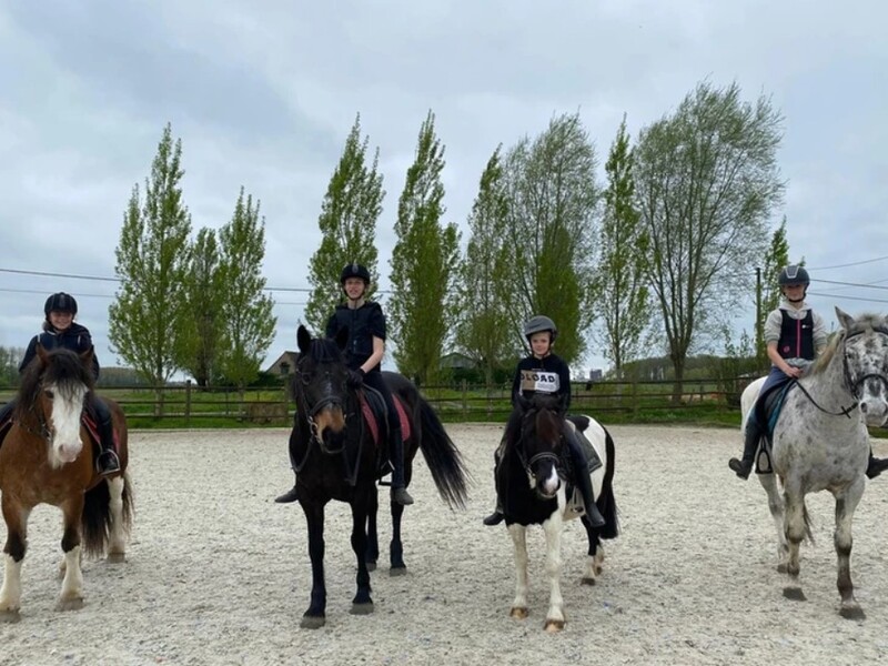 Paardrijden in Wingene