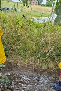 Kleine laarsjes, grote baasjes