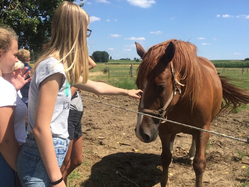 Ponyscouts (met overnachting)