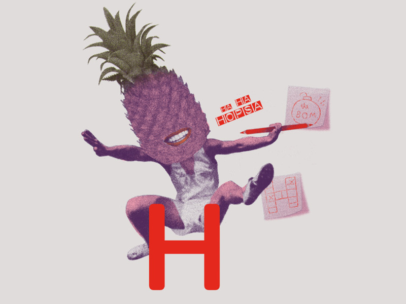 Cursus Hoofdanimator