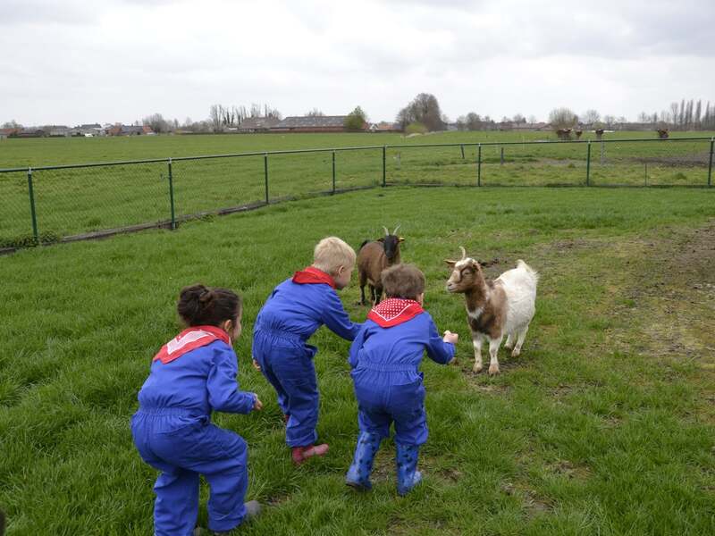 Boerderijkamp voor kleuters