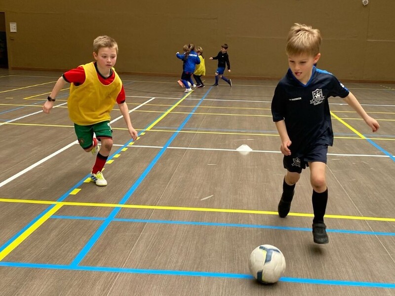 Dribbelkoning Zedelgem (indoor)