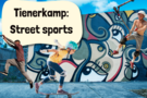 tienerkamp: street sports