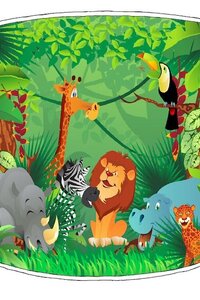 Met JETI naar het oerwoud