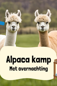 Alpaca Kamp (met overnachting)