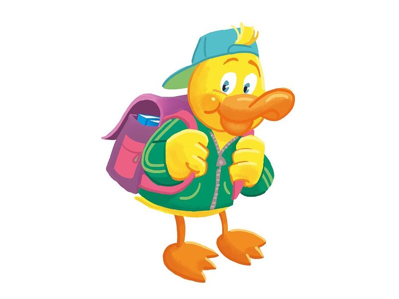 Opleiding Start to Camp