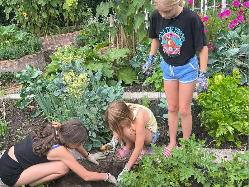 Kampje : Skills & crafts - creatief / ambachtelijk