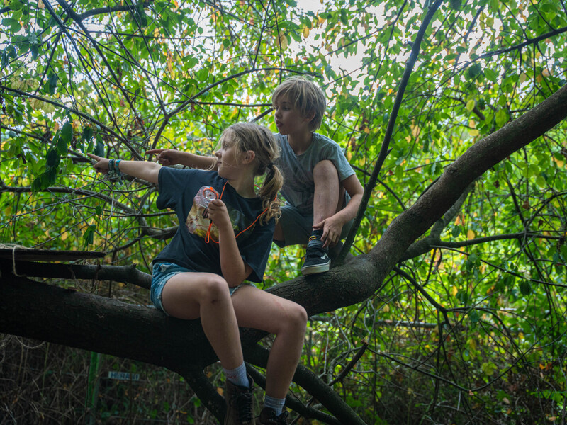 Avonturenkriebels - Externaat