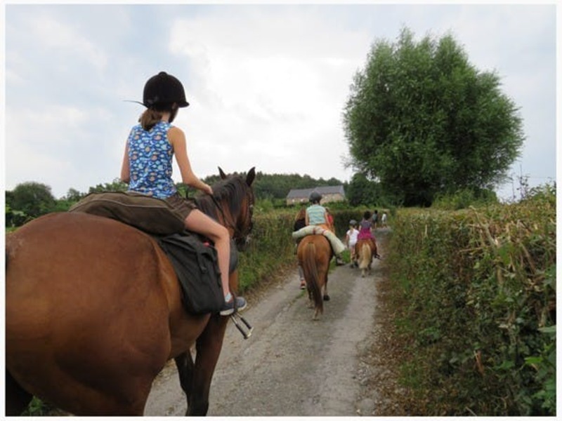 Natuur-lijk op de boerderij