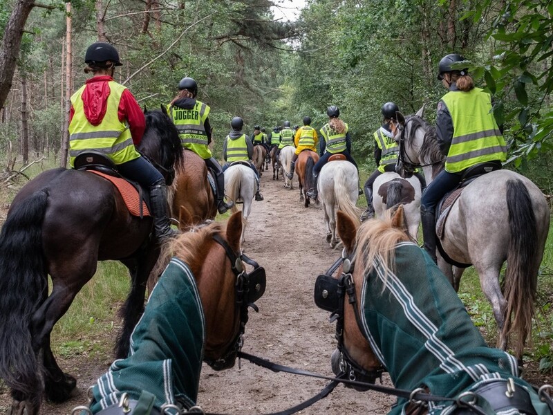 Paardrijden trekking