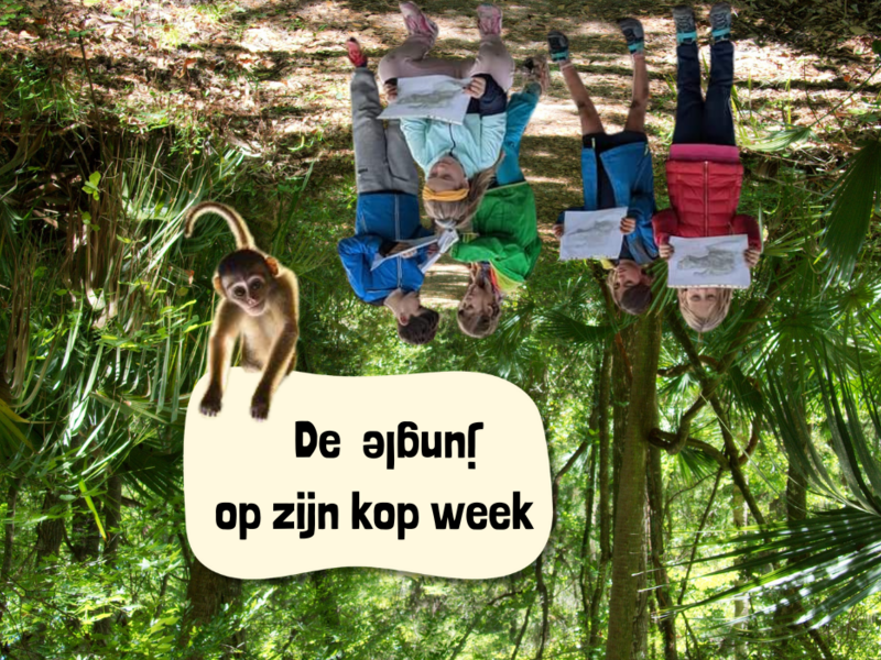 De jungle op z'n kop week 