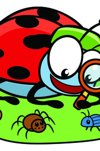 Kriebelbeestjes Bergelen (6-10/07/2026)