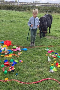 Paard en creatief plezier