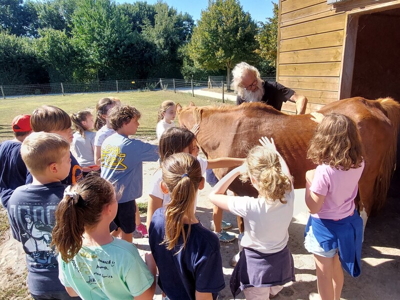 Teamadventure NATUURlijk
