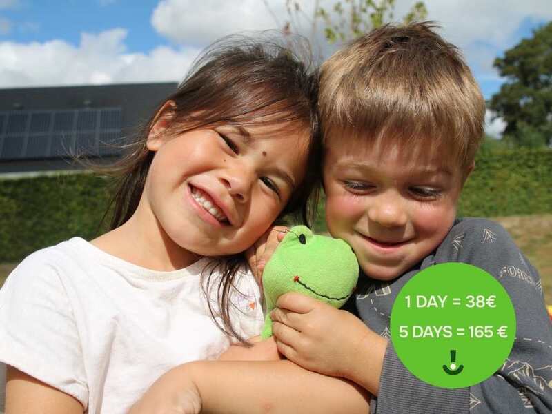 Frogs & friends (In English)