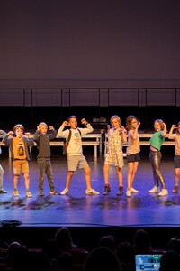 Musical: De Spiegelwereld In Stukken