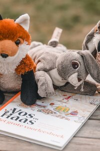 Op kamp met Vos en Haas