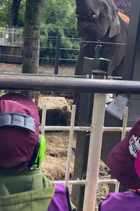 herfstkriebels 8-12 jaar