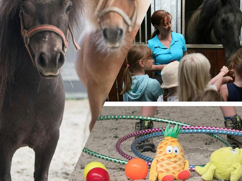 High five vzw | Pony power!