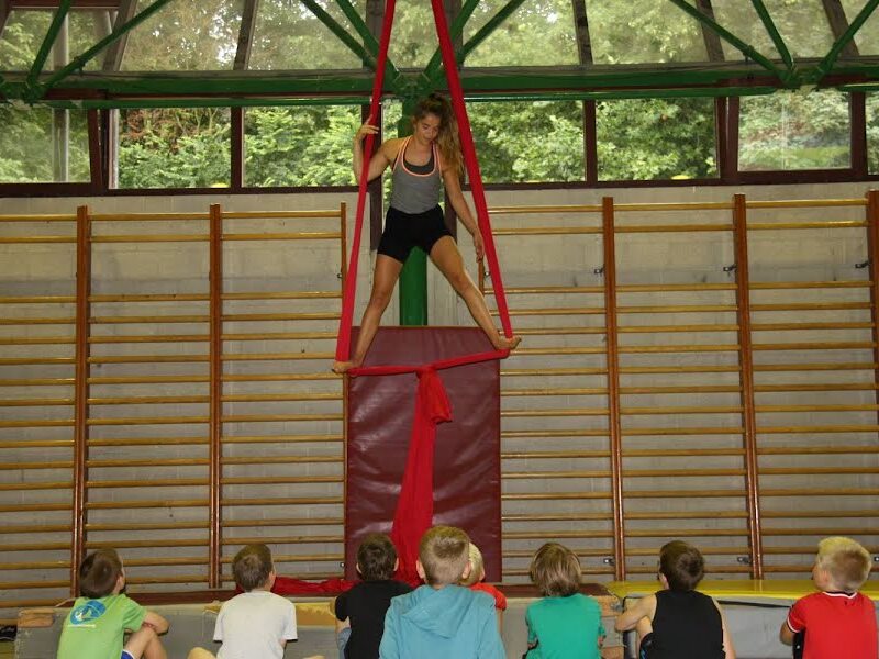 Circus