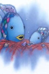 De mooiste vis van de zee Zomer 8 - 2026