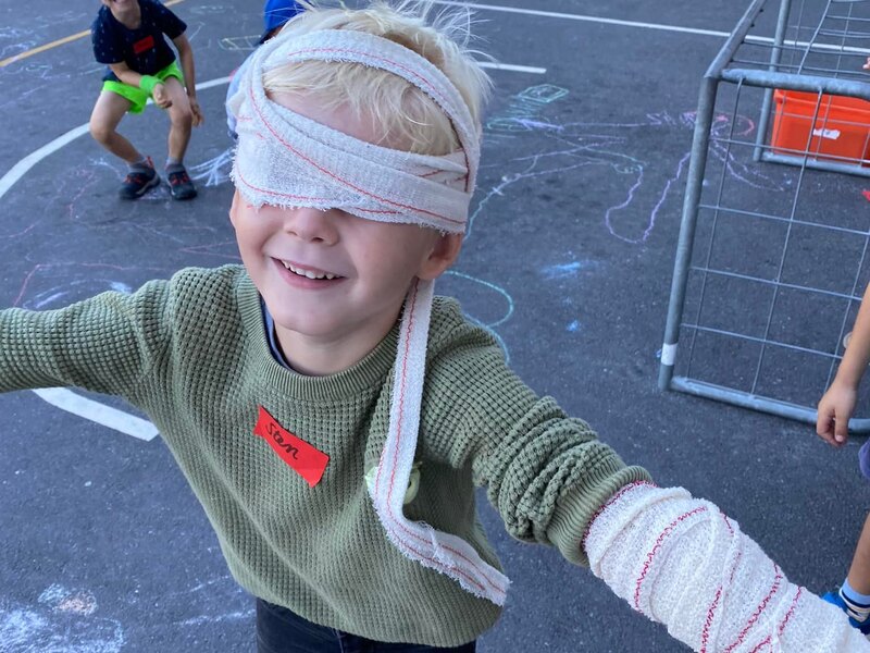 Reis door je lichaam