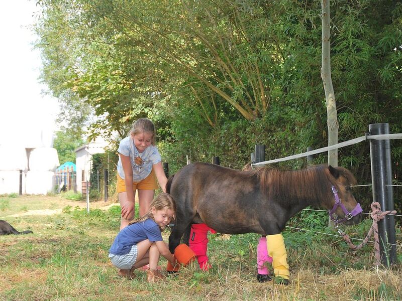 Health op het veld