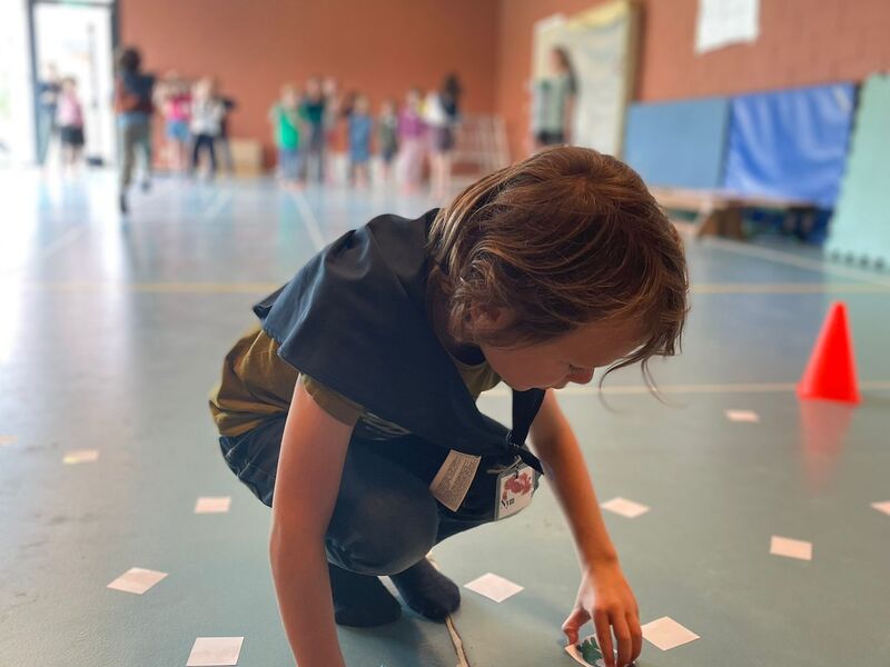 Het onbewoond eiland - SJC De Krekel - Sint-Amandsberg