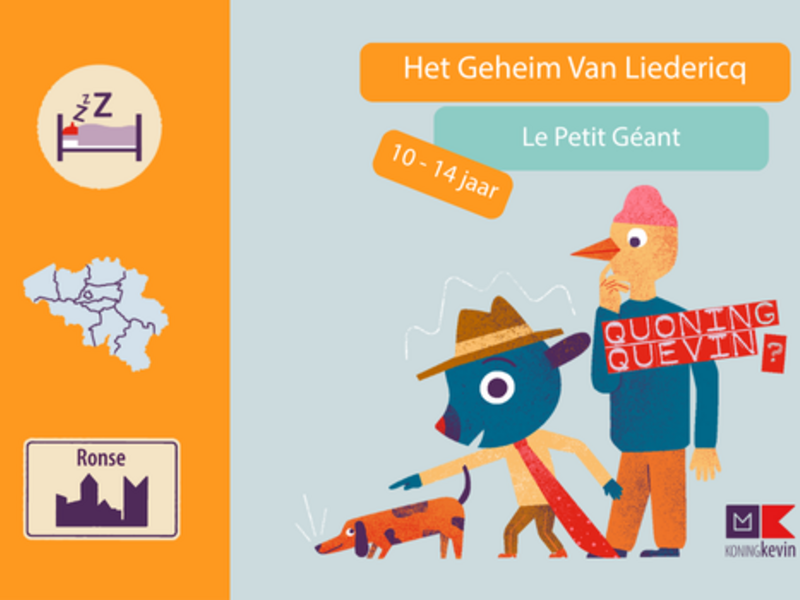 Het Geheim Van Liedericq