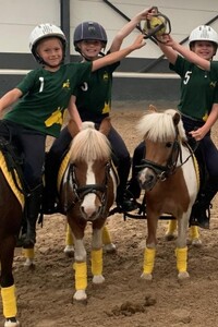 Paardrijden in Buggenhout