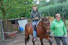 Samen met paarden