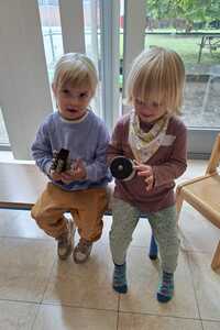 In de natuur - De Wijze Eik (Casierlaan) - Mariakerke