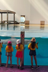 Ontmoeting bij de Dolfijnen