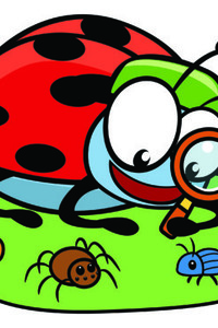 Kriebelbeestjes Lendelede (6-10/07/2026)