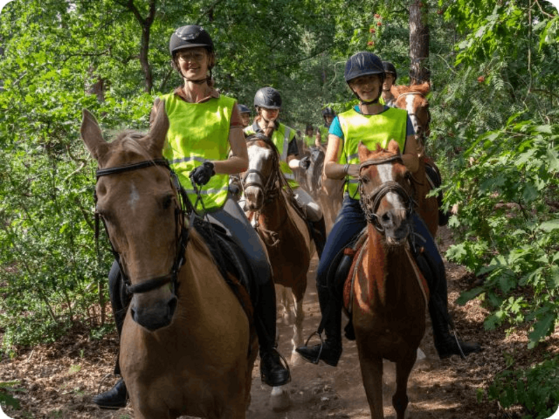 Activak jeugdvakanties – Paardrijden Graide met tochten (12-16 jaar)