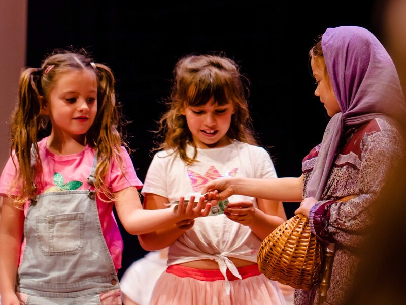 Musical: Wilnie Wakko's Gouden Ticket