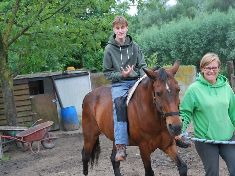 Samen met paarden