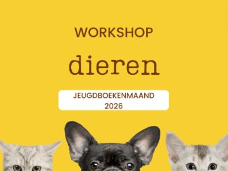 Workshop: boeken en beestjes