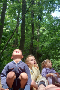 Muziek en Natuur Lente