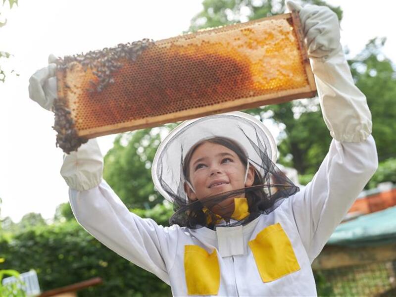 Beroepen op de boerderij