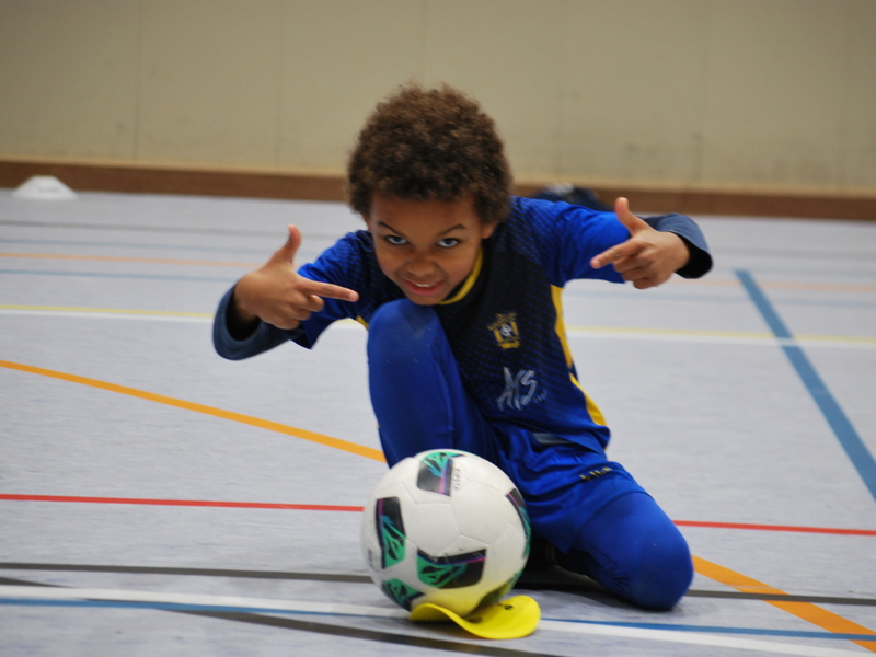 Indoor krokusstage Merelbeke