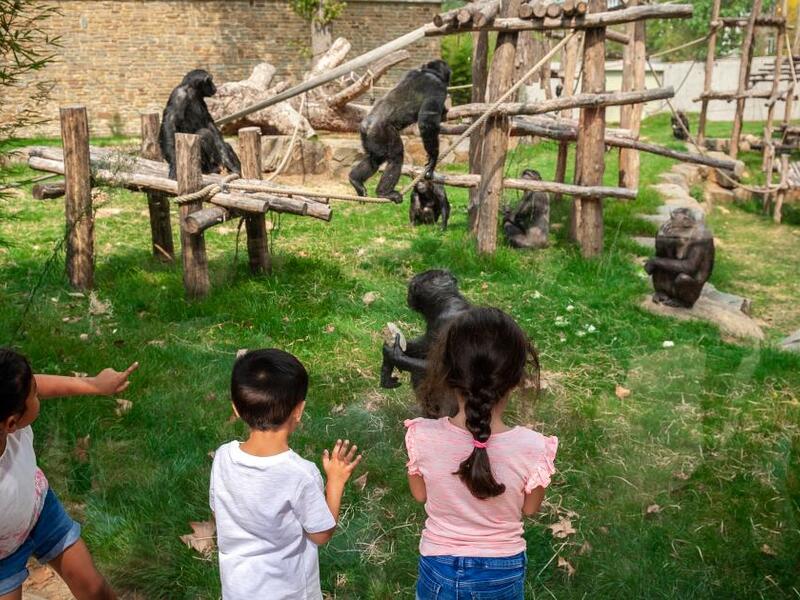 Kleuter dierenplezier