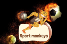 Sport Monkeys