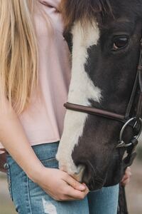 Paardrijden op Sint Anneke