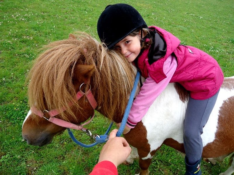 Activak jeugdvakanties – Shetlandervakantie (5-10 jaar)