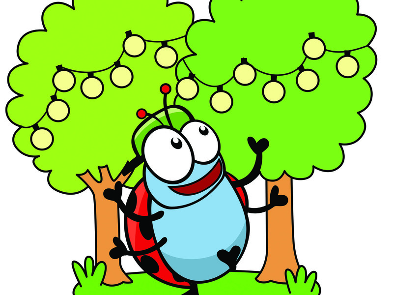 Feest in het bos Ename (2-6/11/2026)