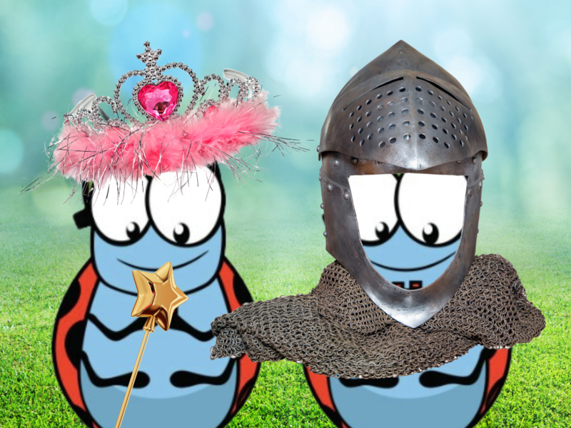 Ridders en prinsessen Welden (10-14/08/2026)