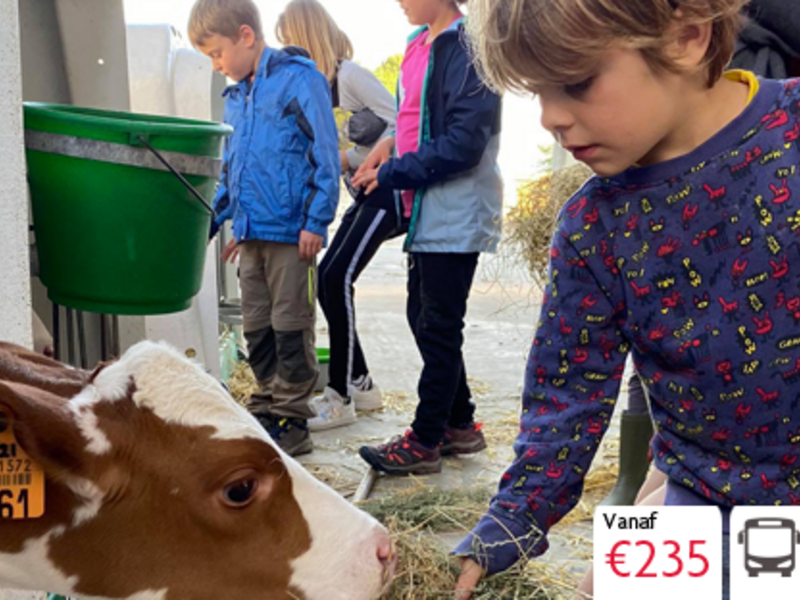 Kleutervakantie - Beestig Geestig