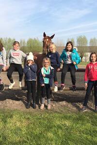 Paardrijden in de Leiestreek